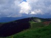 Mont_Joly1-4