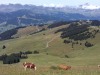 Mont_Joly_2019-8