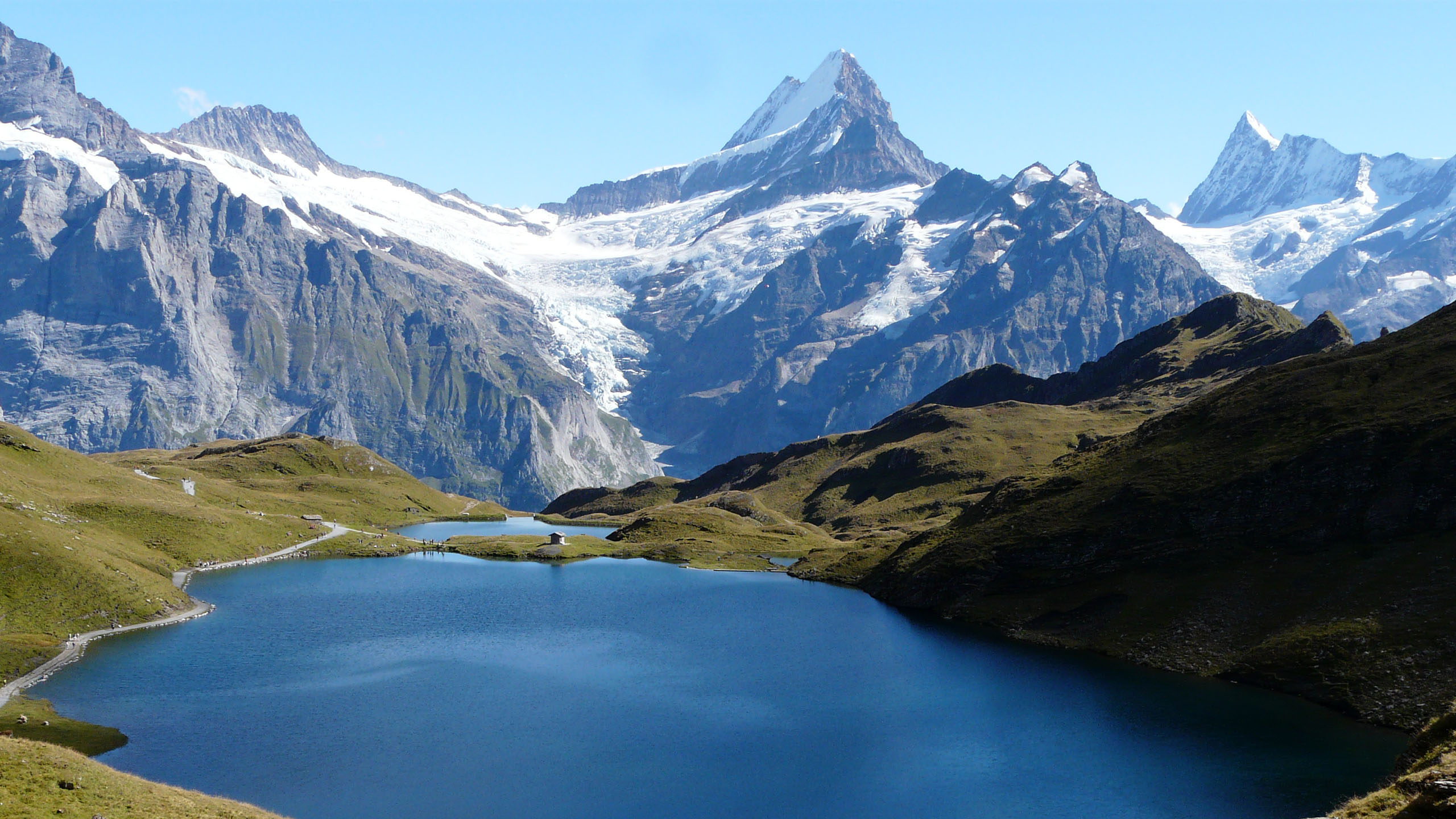 Bachalpsee_mit_Schreckhorn