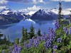 Lac-en-Suisse-1