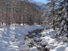 Torrent-du-Val-Ferret