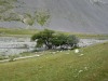 Vallee-vers-Plan-Lachat