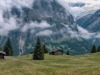 Grindelwald-9