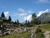 muzelle-lauvitel-2007-39