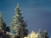 Muzelle_Lauvitel_2014-10