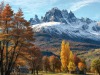 Cottage_Fall_forest-790988