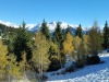 View-169