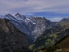 Paysage-1