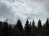 View-141