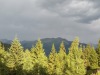 View-143