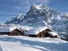 Grindelwald-11