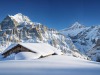Grindelwald-13