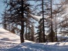 Noel-Montgenevre-11