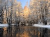 forets-2