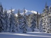 forets-5