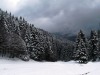 forets-6