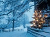 paysage-hiver-1