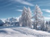 paysage-hiver-19