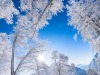 paysage-hiver-39
