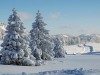 paysage-hiver-4