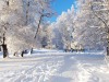 paysage-hiver-5