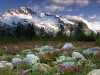 mountains_stones