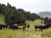 raid-vercors-diois-2011-123