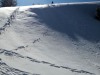 Semnoz_2018-5