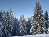 Megeve_ski-40