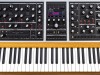 Moog-One-a