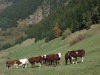 tour-alpe-grand-serre-08