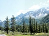 tour-du-mont-pourri-2006-97