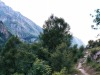 vallon-de-la-lavey-2008-04