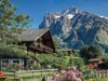 Grindelwald-4